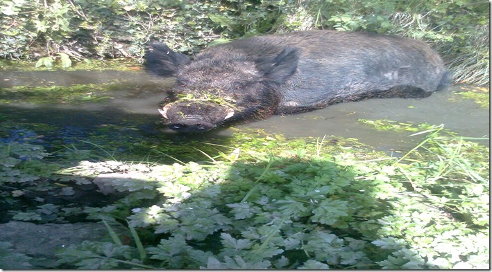 12-9-2012 pictures 262