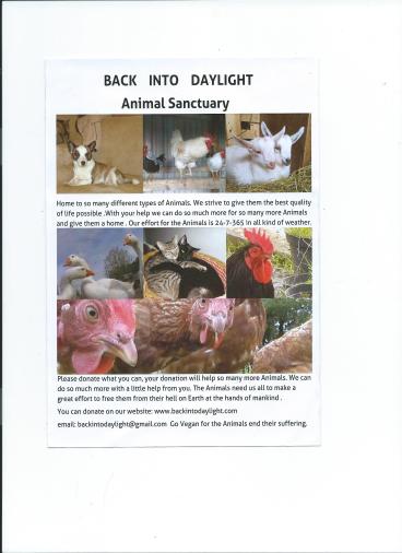 Our new flyer to Raise money for the Sanctuary