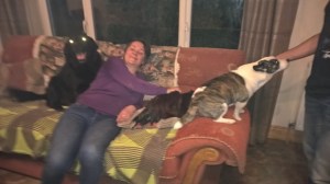 WP_20150530_21_55_31_Pro