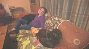 WP_20150531_01_06_38_Pro