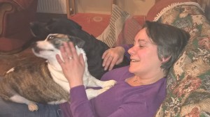 WP_20150531_02_31_43_Pro