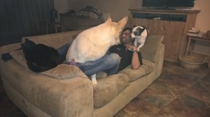 WP_20150531_03_13_18_Pro