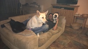 WP_20150531_03_13_28_Pro