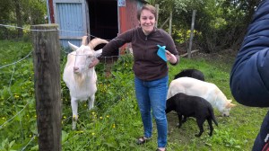 WP_20150531_10_57_47_Pro