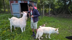 WP_20150531_10_58_41_Pro