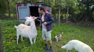 WP_20150531_10_58_43_Pro