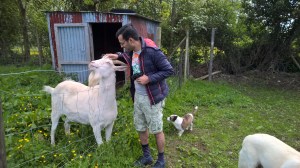 WP_20150531_10_58_45_Pro