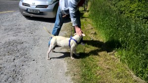 WP_20150615_11_44_22_Pro