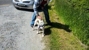 WP_20150615_11_44_31_Pro