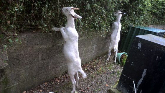 WP_20150710_17_38_57_Pro