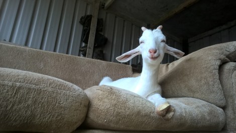 WP_20150716_14_05_23_Pro__highres