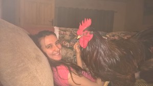 Valentina meets Tom at Back into Daylight Animal Sanctuary