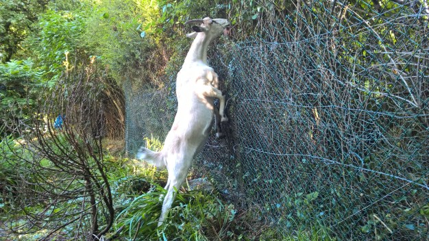 WP_20150831_16_41_50_Pro