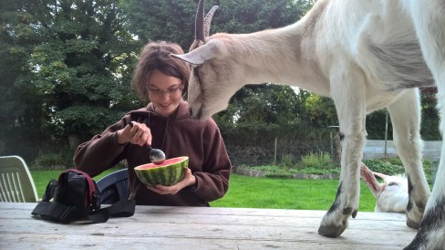Rachel and Ivy having a meal together.