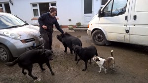 WP_20160304_15_14_20_Pro