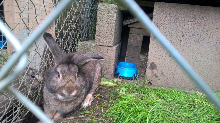 WP_20160618_09_34_55_Pro