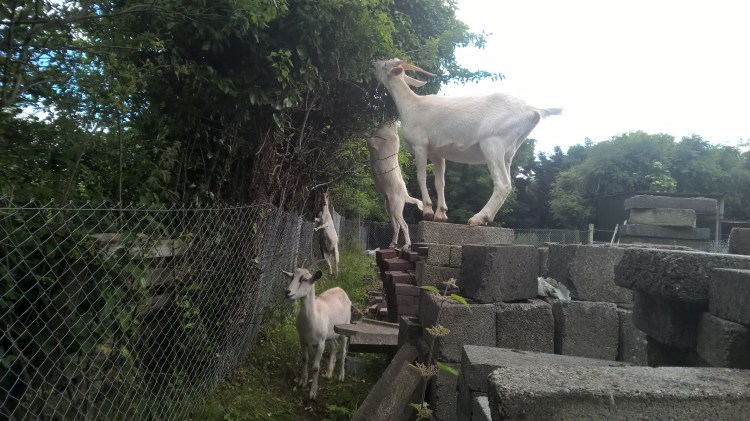 WP_20160622_16_06_41_Pro