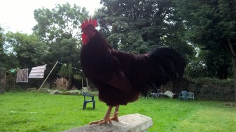 WP_20160821_13_13_13_Pro