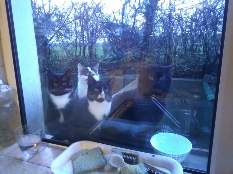 1-11-chriatmas-2016-008