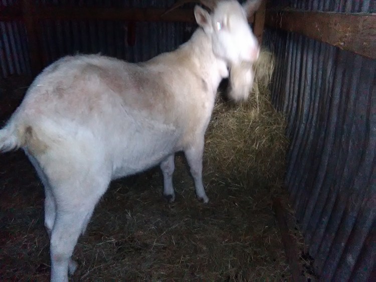 pop-4-26-12-2016-003