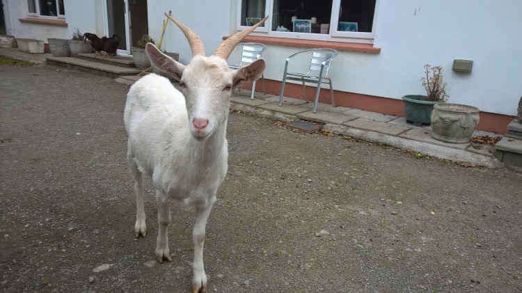 wp_20160814_08_40_54_pro