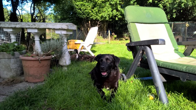 WP_20160719_18_23_06_Pro