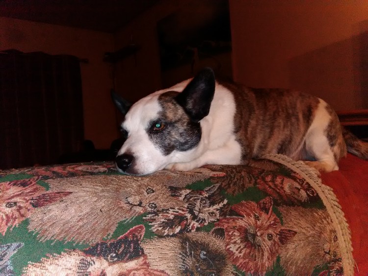 Pop 4 10-12-2017 098