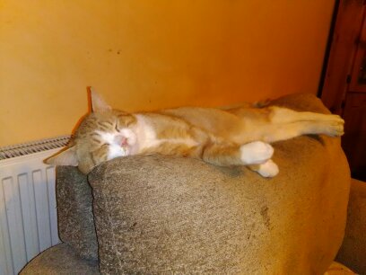 Pop 4 18-12-2017 001