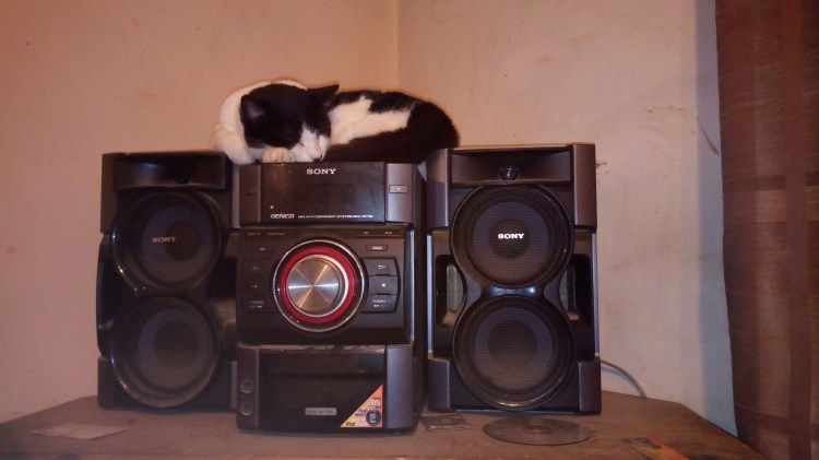 Alcatel A3 19-11-2018 2018-11-17 002