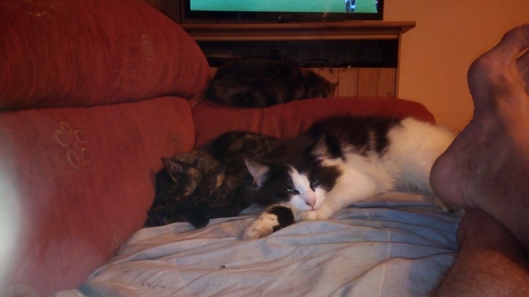 Alcatel A3 11-3-2019 2019-03-10 015