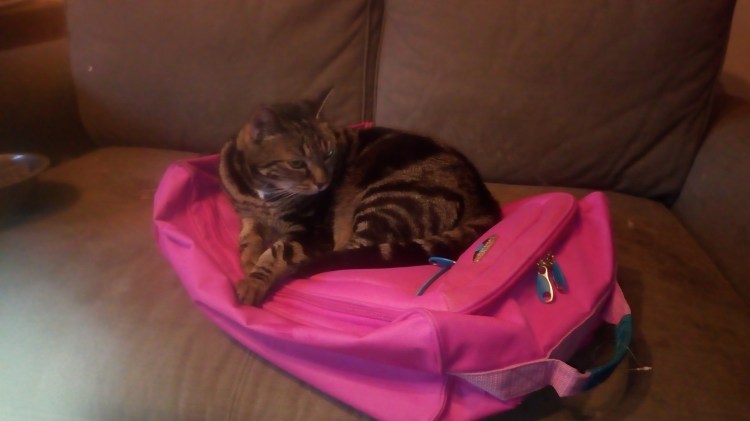 Alcatel A3 1-10-2019 2019-09-26 001