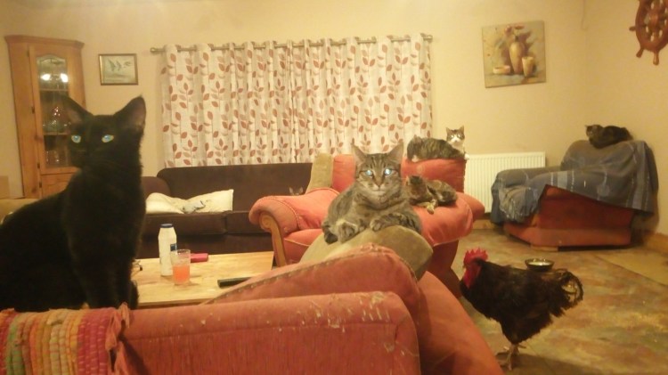 A Catel A 3 18-2-2020 2020-02-17 006